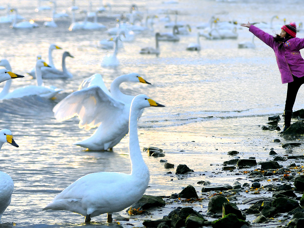 ŷ���������й��Ρ��ٷ���վ - OUYI SPORTS