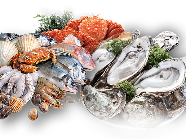 ŷ���������й��Ρ��ٷ���վ - OUYI SPORTS