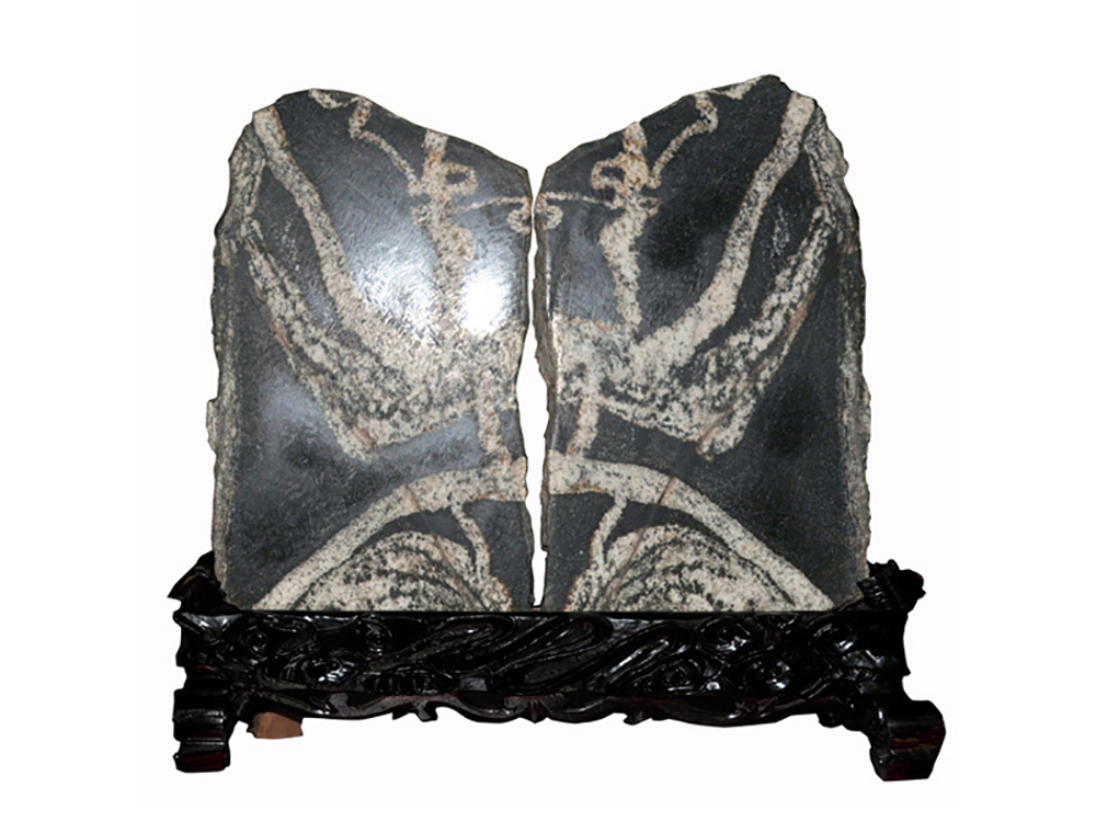 ŷ���������й��Ρ��ٷ���վ - OUYI SPORTS